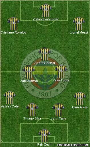 Fenerbahçe SK Formation 2013