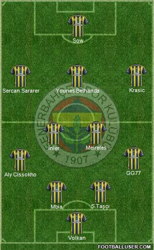 Fenerbahçe SK Formation 2013
