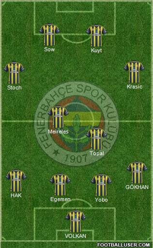 Fenerbahçe SK Formation 2013