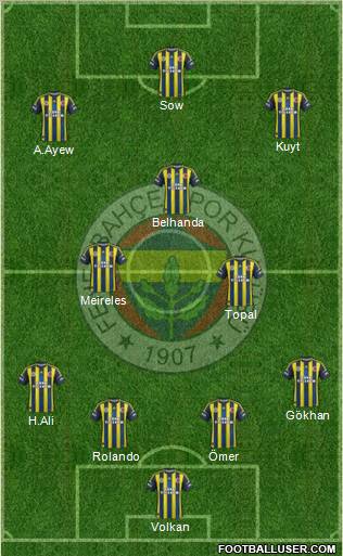 Fenerbahçe SK Formation 2013
