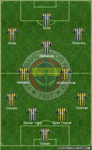 Fenerbahçe SK Formation 2013