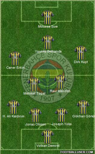Fenerbahçe SK Formation 2013