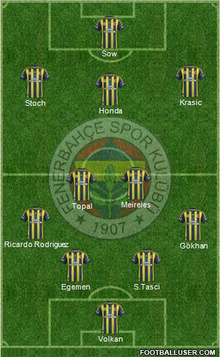 Fenerbahçe SK Formation 2013