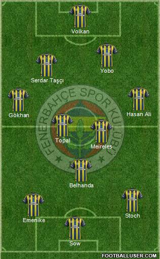 Fenerbahçe SK Formation 2013