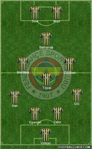 Fenerbahçe SK Formation 2013