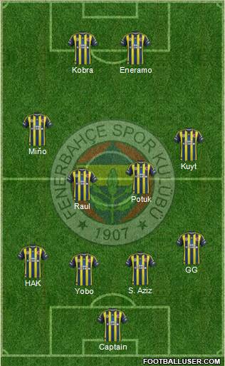 Fenerbahçe SK Formation 2013