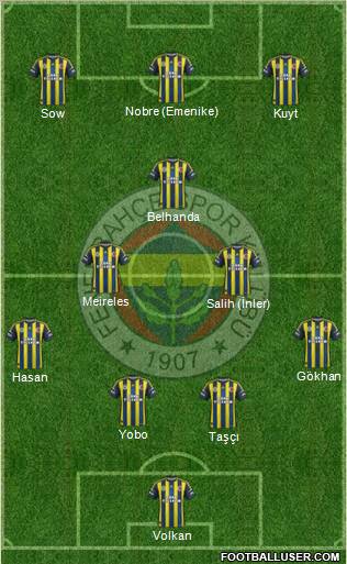 Fenerbahçe SK Formation 2013