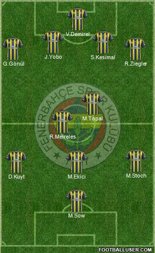 Fenerbahçe SK Formation 2013