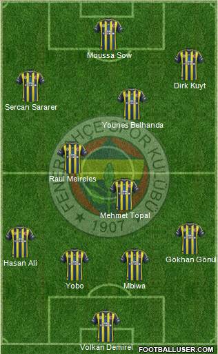 Fenerbahçe SK Formation 2013
