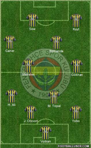 Fenerbahçe SK Formation 2013