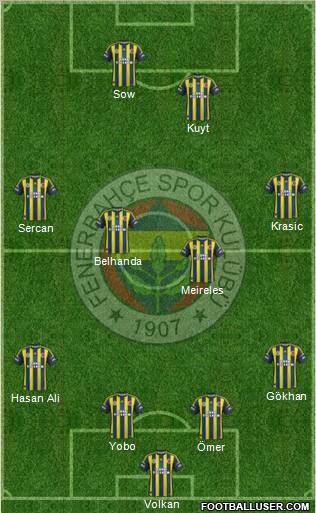 Fenerbahçe SK Formation 2013