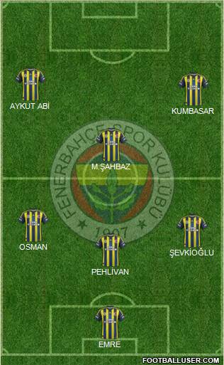 Fenerbahçe SK Formation 2013