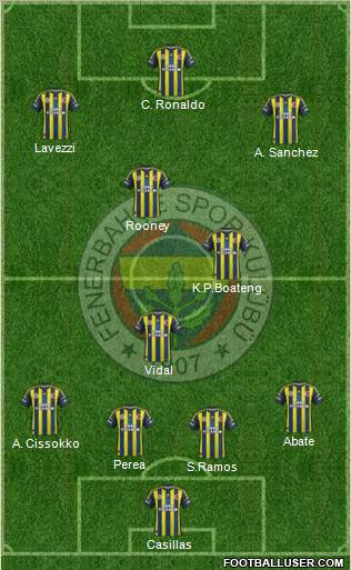 Fenerbahçe SK Formation 2013