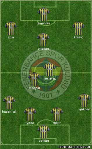 Fenerbahçe SK Formation 2013