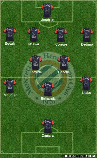 Montpellier Hérault Sport Club Formation 2013