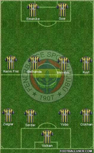 Fenerbahçe SK Formation 2013