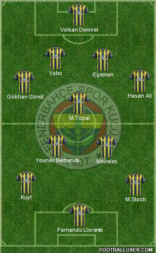 Fenerbahçe SK Formation 2013