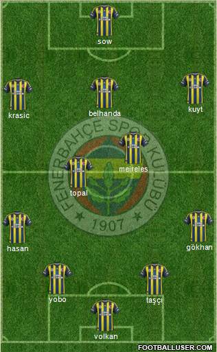 Fenerbahçe SK Formation 2013