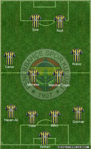 Fenerbahçe SK Formation 2013
