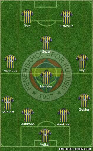 Fenerbahçe SK Formation 2013