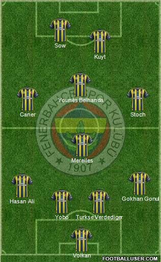 Fenerbahçe SK Formation 2013