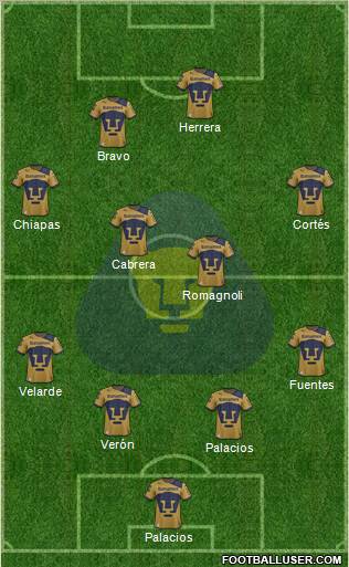 Club de Fútbol Universidad Formation 2013