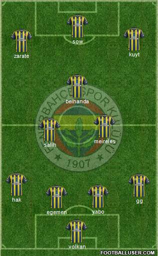 Fenerbahçe SK Formation 2013