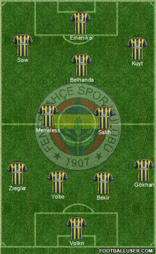 Fenerbahçe SK Formation 2013