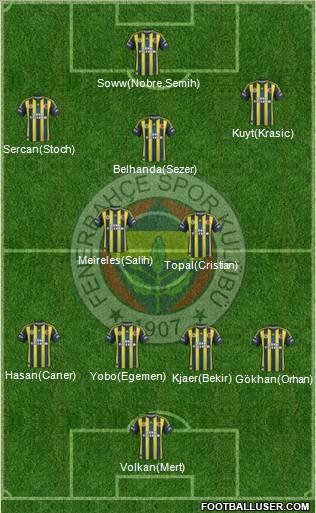 Fenerbahçe SK Formation 2013
