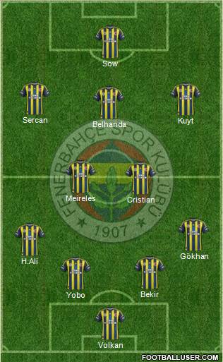 Fenerbahçe SK Formation 2013