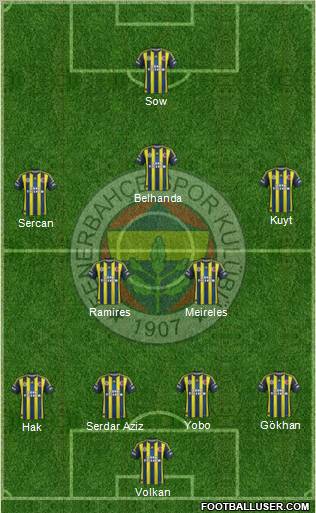 Fenerbahçe SK Formation 2013