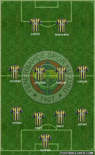 Fenerbahçe SK Formation 2013