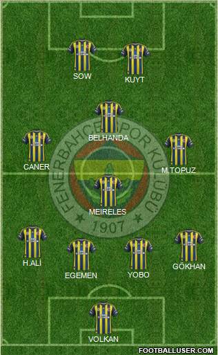 Fenerbahçe SK Formation 2013