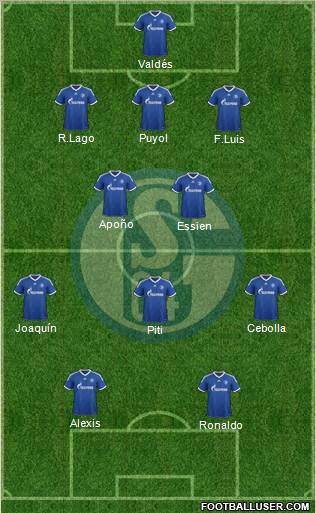 FC Schalke 04 Formation 2013