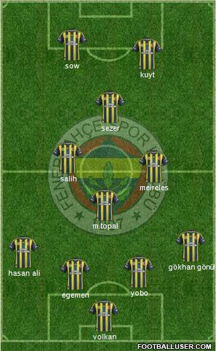 Fenerbahçe SK Formation 2013