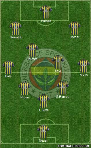 Fenerbahçe SK Formation 2013