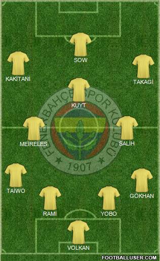 Fenerbahçe SK Formation 2013