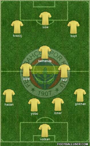 Fenerbahçe SK Formation 2013