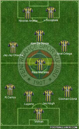 Fenerbahçe SK Formation 2013