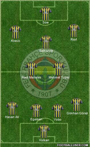 Fenerbahçe SK Formation 2013