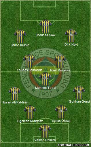 Fenerbahçe SK Formation 2013