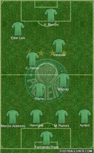 SE Palmeiras Formation 2013