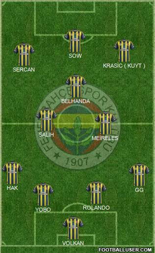 Fenerbahçe SK Formation 2013