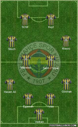 Fenerbahçe SK Formation 2013