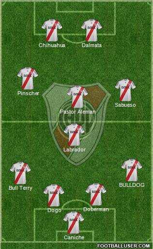 River Plate Formation 2013