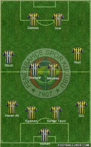Fenerbahçe SK Formation 2013