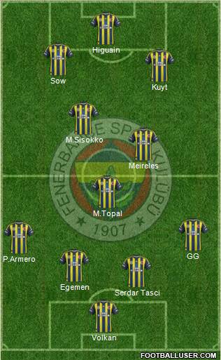 Fenerbahçe SK Formation 2013