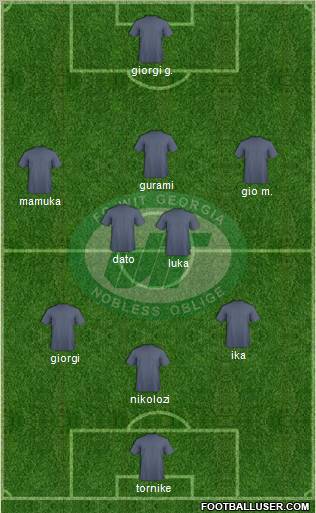 WIT-Georgia Tbilisi Formation 2013