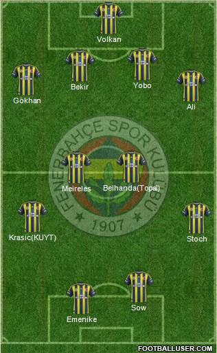 Fenerbahçe SK Formation 2013