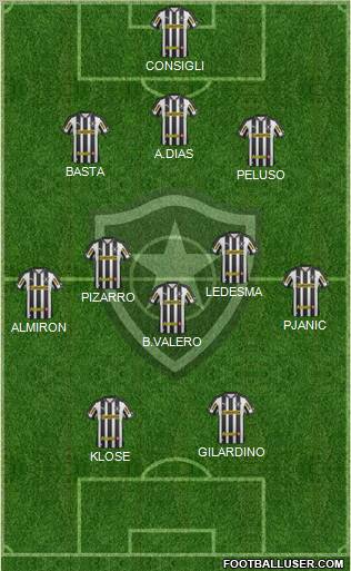 Botafogo FR Formation 2013